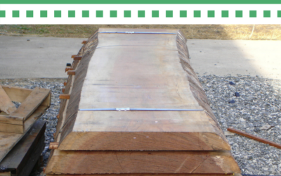 Using Live Edge Slabs