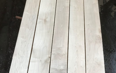 Hard Maple Blanks